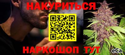 spice Чебоксары